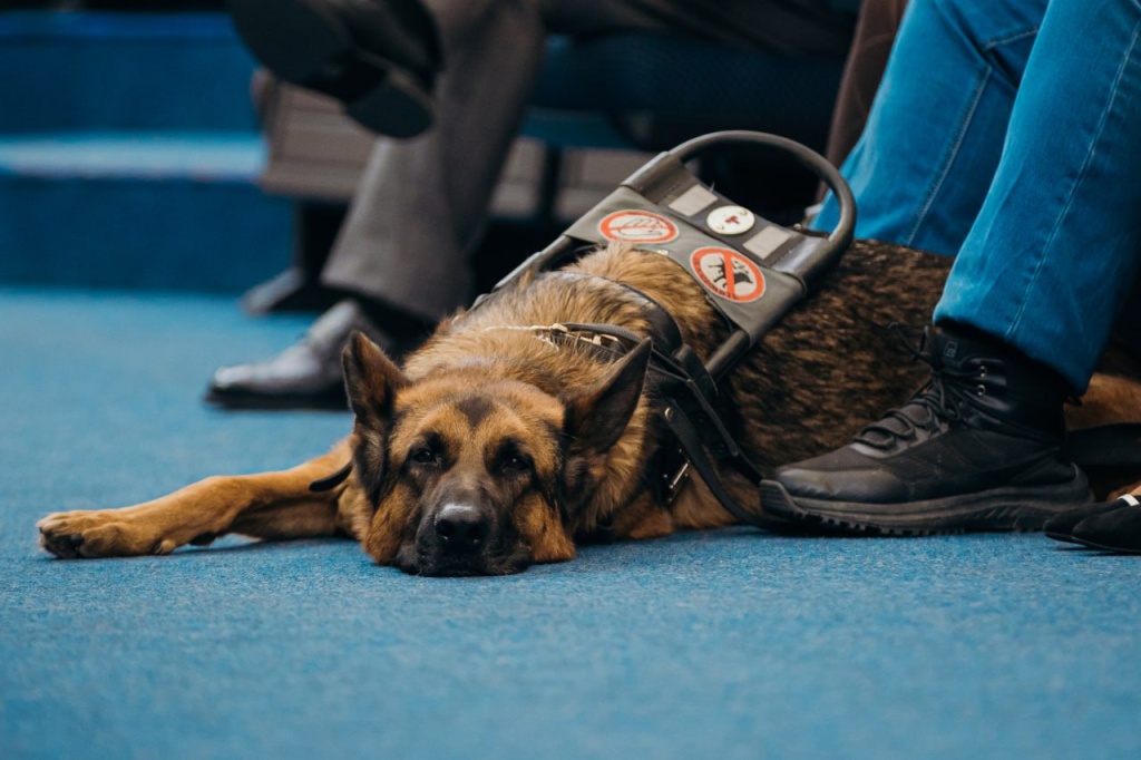 IMG_20251105_084009_191.jpg IMG_20251105_084009_191.jpg